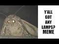y all got any lamps Moth Lamp Meme
