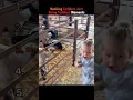 Download Lagu Ranking Toddlers Just Being Toddlers Moments 😭#ranking #usashorts #funny #toddlermoments