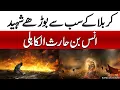 Download Lagu Karbala ke Sab se Burhe Shaheed Anas Bin Haris | کربلا کے سب سے بوڑھے شہید انس بن حارث | BOH