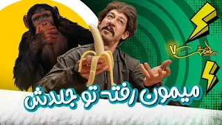 میمون رفته تو جلدش   پایتخت   دندنها