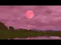 Lagu [Piano x ASMR🎧] IU - strawberry moon🌕