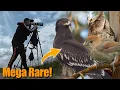 Download Lagu Rare OWL \u0026 EAGLE  during Epic Birding Adventure!