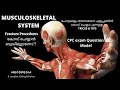 Fracture Coding I Musculoskeletal System I