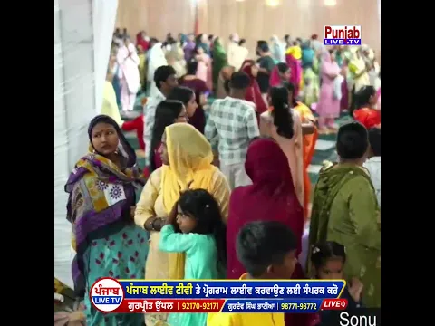 Maa Chintapurni Har Dam Mere Nal Rehndi Aye #parulchawla #matarani #viralvideo #punjablivetv #song