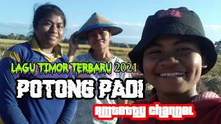 Download Lagu timor terbaru 2021 POTONG PADI_COVER | Amtetty chaneL MP3