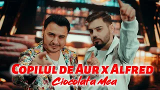 Descarcă Copilul de Aur si Alfred - Ciocolata mea MP3 gratuit - Muzica123