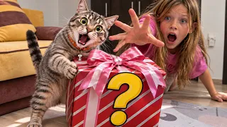 Кто Украл Подарок Котенка? 😱