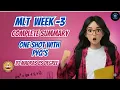 MLT Week 3 Full Explanation IIT Madras BS Degree Concepts Examples
