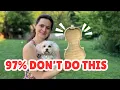 Download Lagu 🎻🔊💥 BEST VIOLIN SOUND trick: what is Priming Inside?