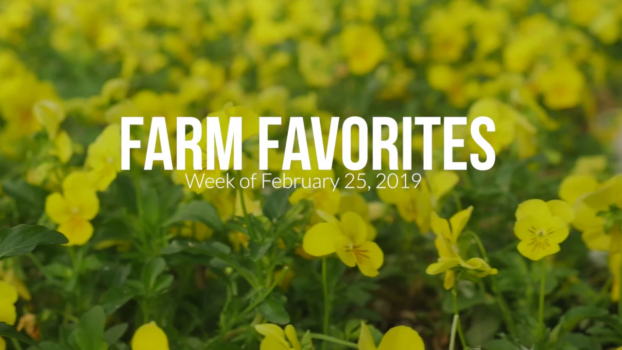 Farm Favorites   Week of Feb.  25