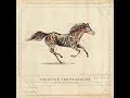 Turnpike Troubadours - Oklahoma Stars