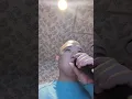 ￥ellowBucks/Yessir feat EriC.B.Jr.
