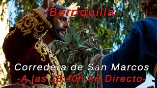 Borriquilla y Alegría 2016 por C/ Corredera de San Marcos