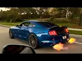 Insane Loud 5 0 Mustang with 2 Step and Straight pipe
