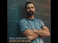 Fancy Like - Walker Hayes