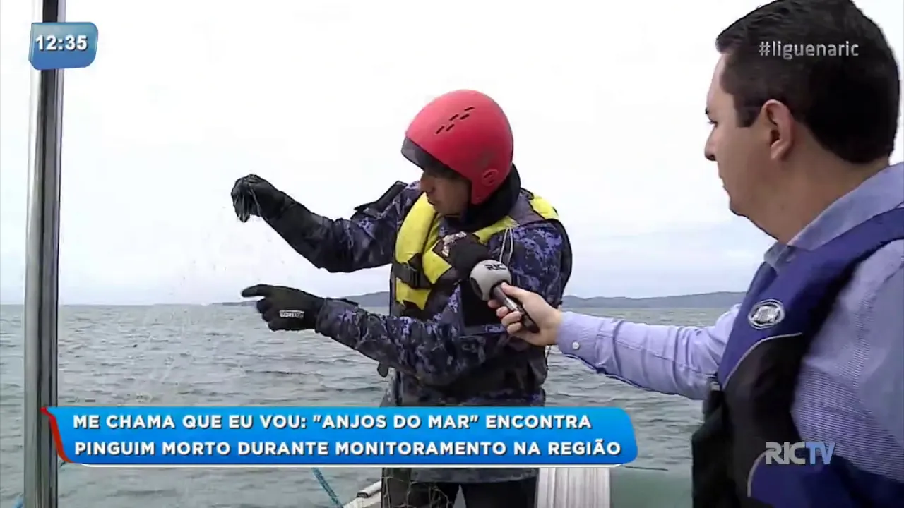 Balanço Geral acompanha monitoramento do projeto ‘Anjos do Mar’ em praia do Litoral Norte de SC