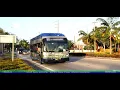 Miami Dade Transit Bus Action around the city 2019 Part 3