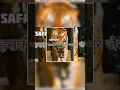 Download Lagu dahdat banao toh Sher jaisi #motivationalquotes #motivationalvideo #viralvideo #subscribe