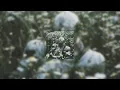 Download Lagu ჩუბინა Chub1na.Ge - Extended Best Part