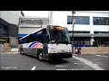 NJ Transit 2018 MCI D4500CT and Greyhound 2001-2004 MCI G4500 6-9-18