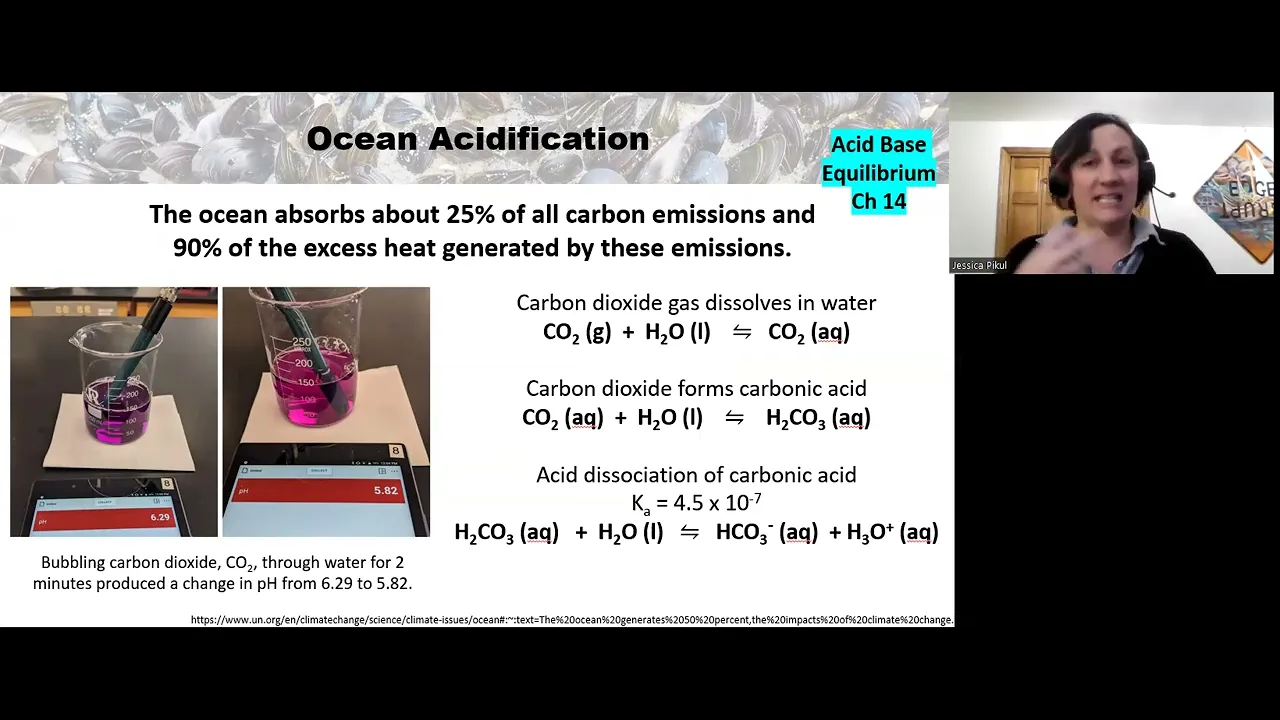 Chem 163 Lab Lecture - Ocean Acidification