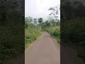 Download Lagu Jalan-jalan di Akhir Pekan