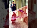 القلب الطيب / محمد فؤاد