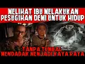 Download Lagu KAYA RAYA DARI PESUGIHAN TANPA TUMBAL NYAWA SIAPAPUN Download Lagu KAYA RAYA DARI PESUGIHAN TANPA TUMBAL NYAWA SIAPAPUN