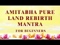 Download Lagu Master Lu【For Beginners】Benefits of Reciting The Amitabha Pure Land Rebirth Mantra Wang Sheng Zhou