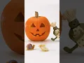 Tiny Chef carves a pumpkin