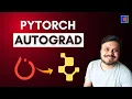PyTorch Autograd 3 CampusX