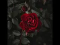 Download Lagu Black Rose - (penantian)