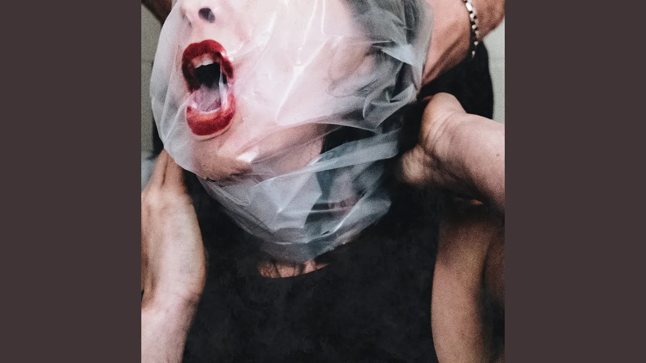 Flesh Stays Together