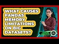 What Causes Pandas Memory Limitations On Big Datasets - AI and Machine Learning Explained