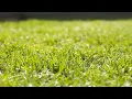 Download Lagu (4k) TOP 1 PPLL (legacy) | Touching Grass by Typexleta | not Hardest level in gd