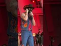 Orville Peck - Cowboys Are Frequently Secretly Fond of Each Other (Willie Nelson 90 Hollywood Bowl)