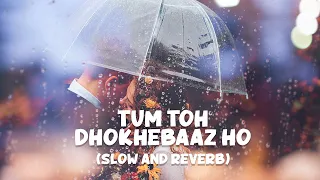 Download Tum To Dhokhebaaz Ho - Lofi (Slow and Reverb) - Saajan Chale Sasural | Romantic Song | NestMusicZ MP3