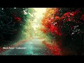 Download Lagu Novo Amor   Colourway