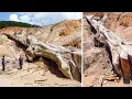 Top 10 Forbidden Discoveries Made In 2025 So Far