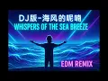 Download Lagu 海風的呢喃 Whispers of the Sea Breeze (EDM Remix) | Chinese EDM Festival Anthem