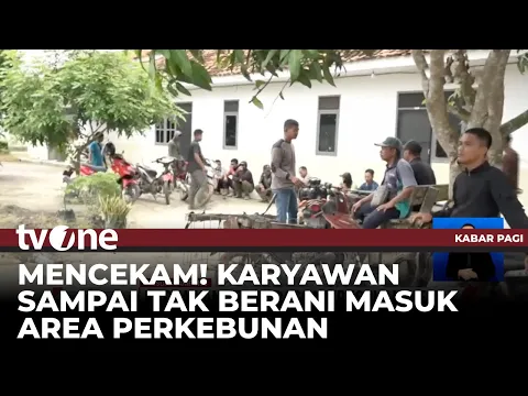 Pasca Kerusuhan Mesuji Buat Para Karyawan Menjadi Resah