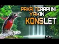 Download Lagu Pakai Terapi ini Untuk Konin Agar Cepat Bunyi Konslet
