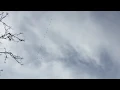 The Flight of the Wild Geese