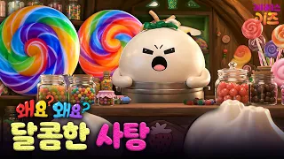 달콤한 사탕~ 어떻게 만들까?ㅣ사탕ㅣ왜요? 왜요? 만두와 음식 탐험ㅣKBS 260903 방송