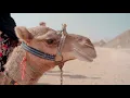Download Lagu Arabic Remix 2021 | SAHARA Remix - Drinche | Arabic Style 2021