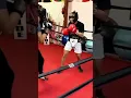 Download Lagu Reflex very sharp #boxing #shorts #floydmayweather