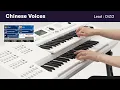 Download Lagu Electone ELA-1|Features:Chinese Voice