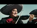PANTER BÉLICO - NO ME SÉ RAJAR (Video Oficial)