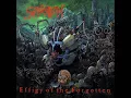 Download Lagu Suffocation - Infecting The Crypts (C# Tuning)