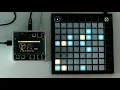 Download Lagu entering the arcologies | norns shield + launchpad mini mk3